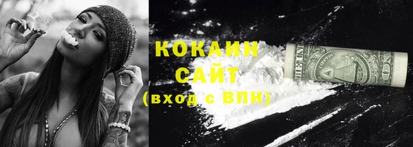 молекула духа Арсеньев