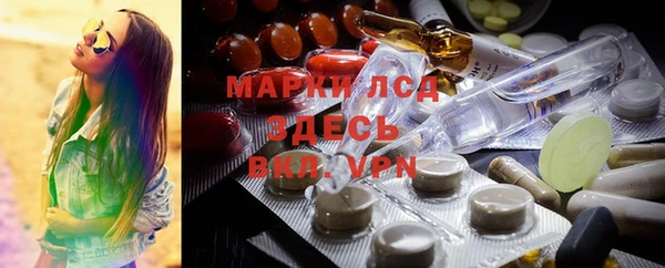 молекула духа Арсеньев